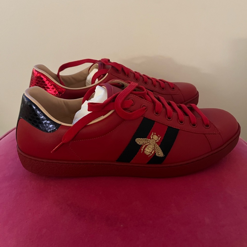 New Gucci ace sneakers for men